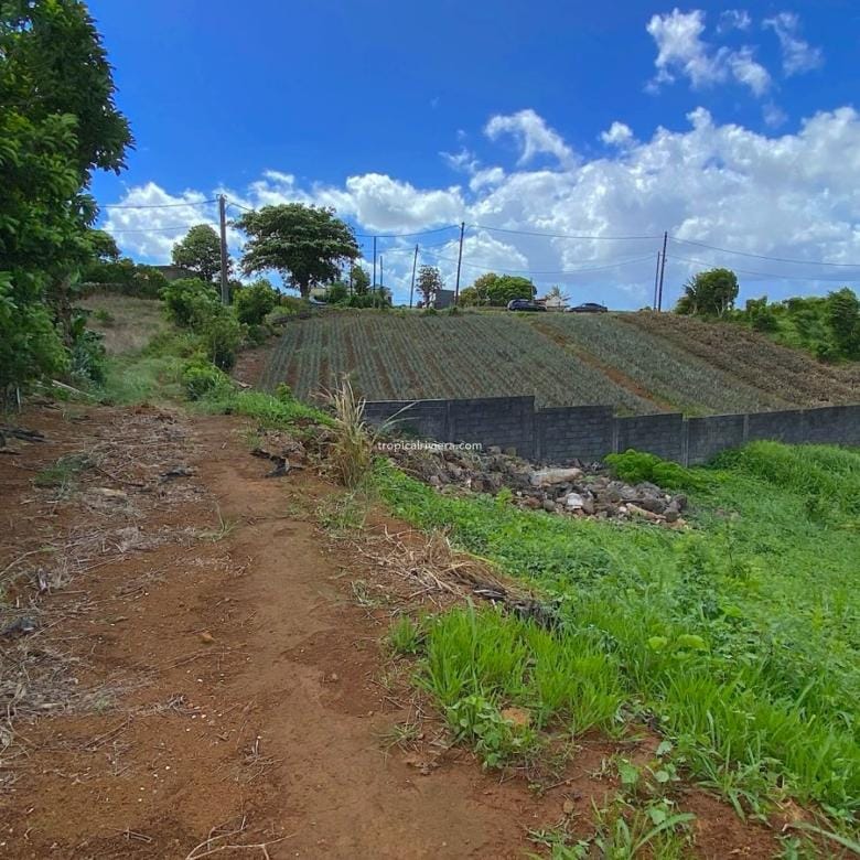 Residential Land for Sale in Les Mariannes – 695 m² Plot with Panoramic Views