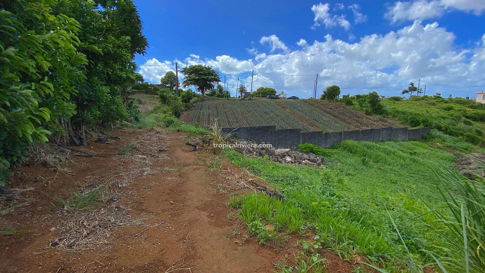 Residential Land for Sale in Les Mariannes – 695 m² Plot with Panoramic Views