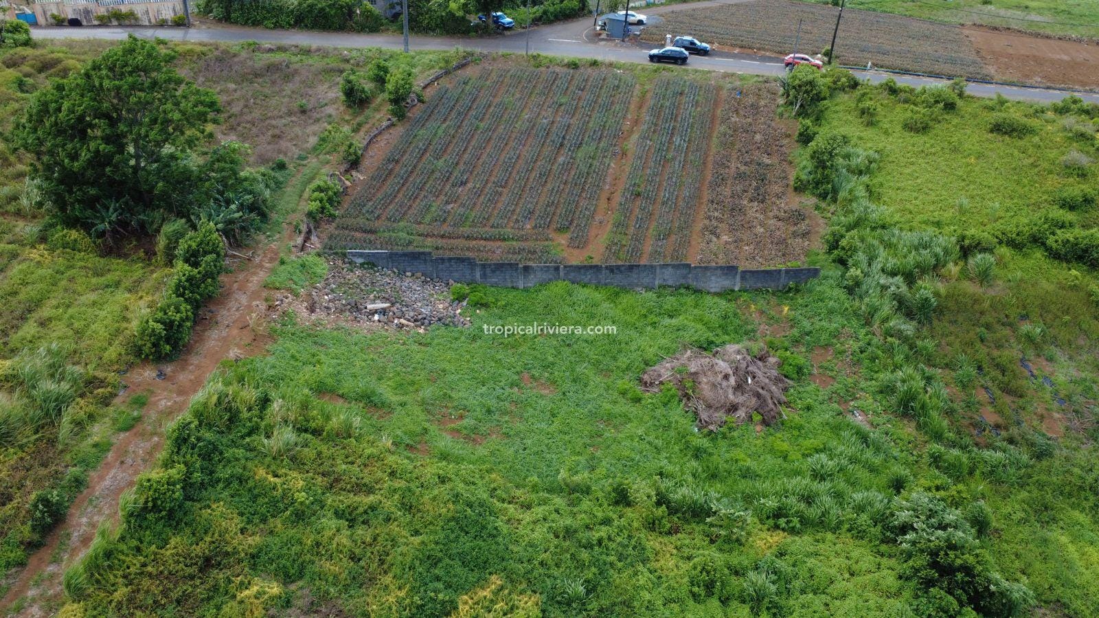 Residential land for sale in Les Mariannes Residential Land for Sale in Les Mariannes – 695 m² Plot with Panoramic Views