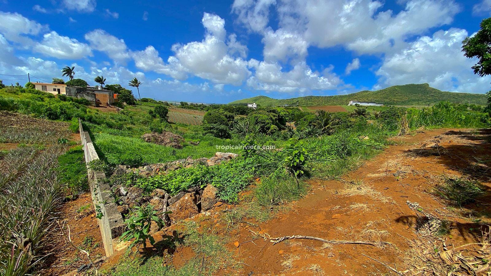 Residential Land for Sale in Les Mariannes – 695 m² Plot with Panoramic Views