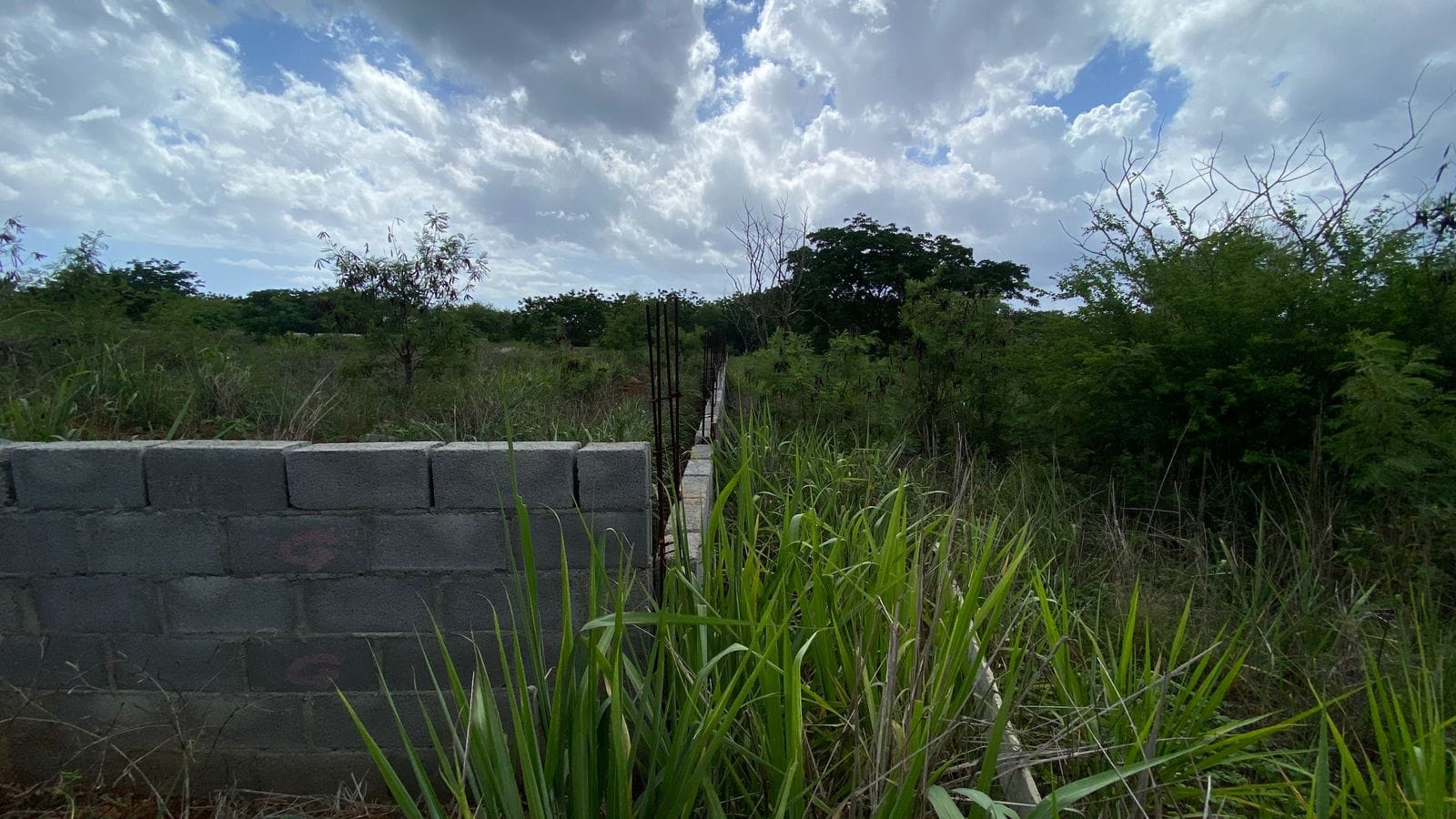 Agricultural land for sale in Albion, with partial sea view (2,517 m²)