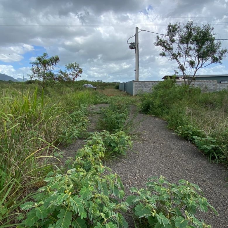 Agricultural land for sale in Albion, with partial sea view (2,517 m²)