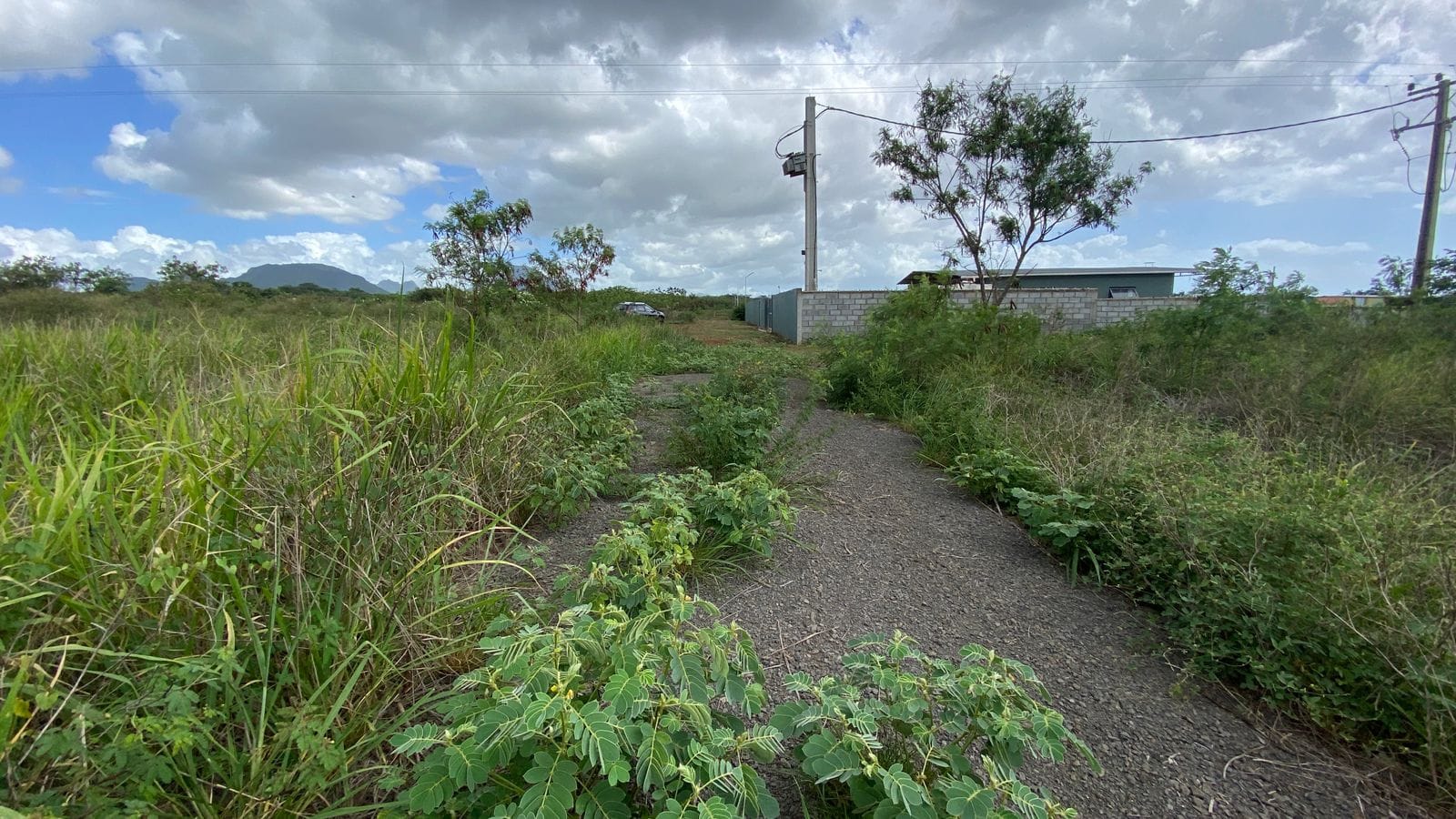 Agricultural land for sale in Albion, with partial sea view (2,517 m²)