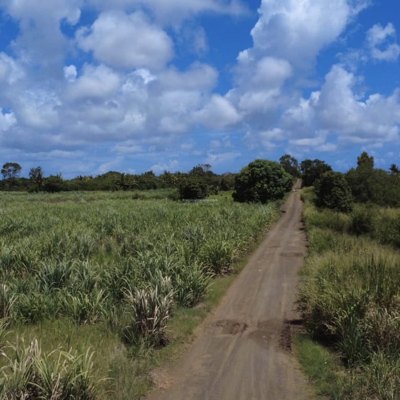For Sale – Agricultural land 5,360.5 m2 – Riviere du Rempart
