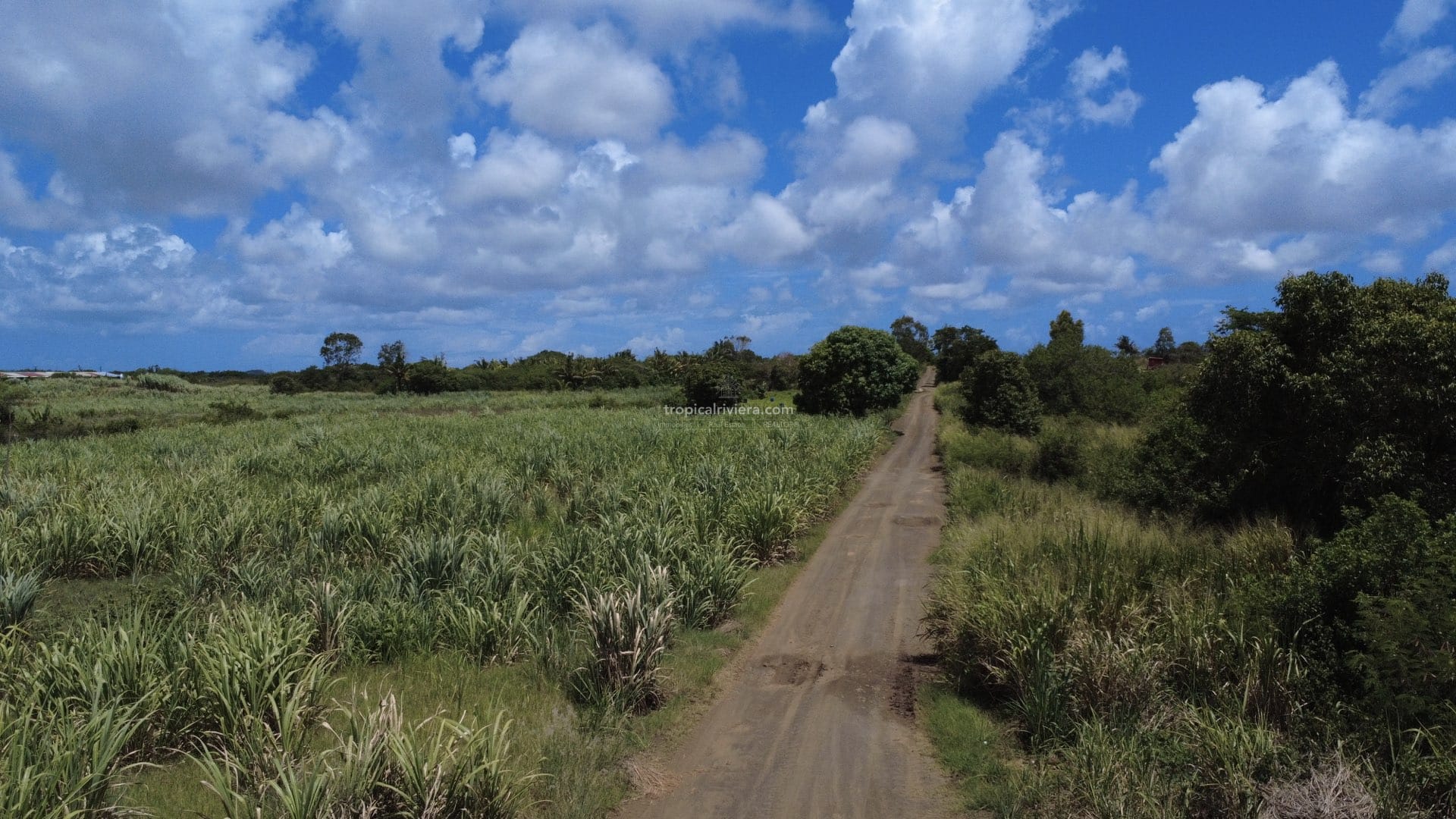 For Sale – Agricultural land 5,360.5 m2 – Riviere du Rempart