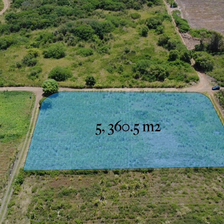 For Sale – Agricultural land 5,360.5 m2 – Riviere du Rempart