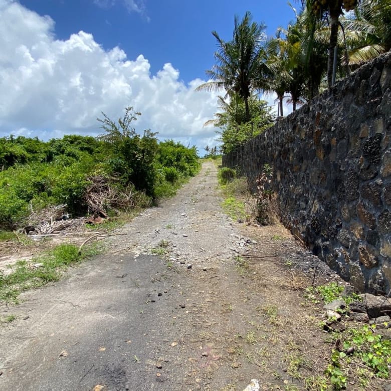 Agricultural Land for Sale in Choisy, Poste de Flacq – 1,687 m²