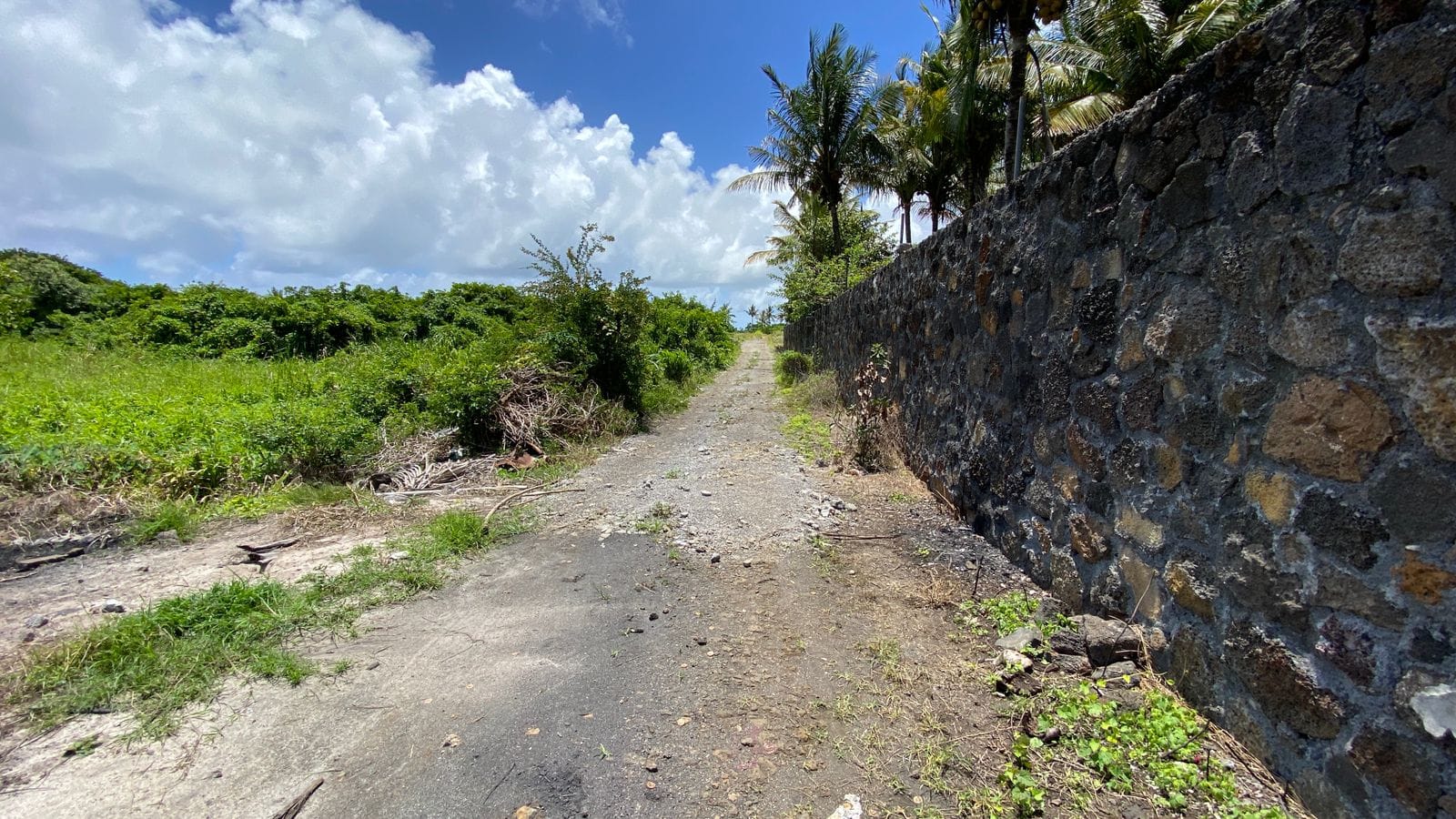 Agricultural Land for Sale in Choisy, Poste de Flacq – 1,687 m²