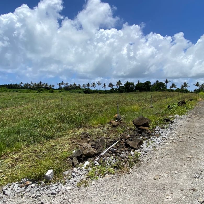 Agricultural Land for Sale in Choisy, Poste de Flacq – 1,687 m²