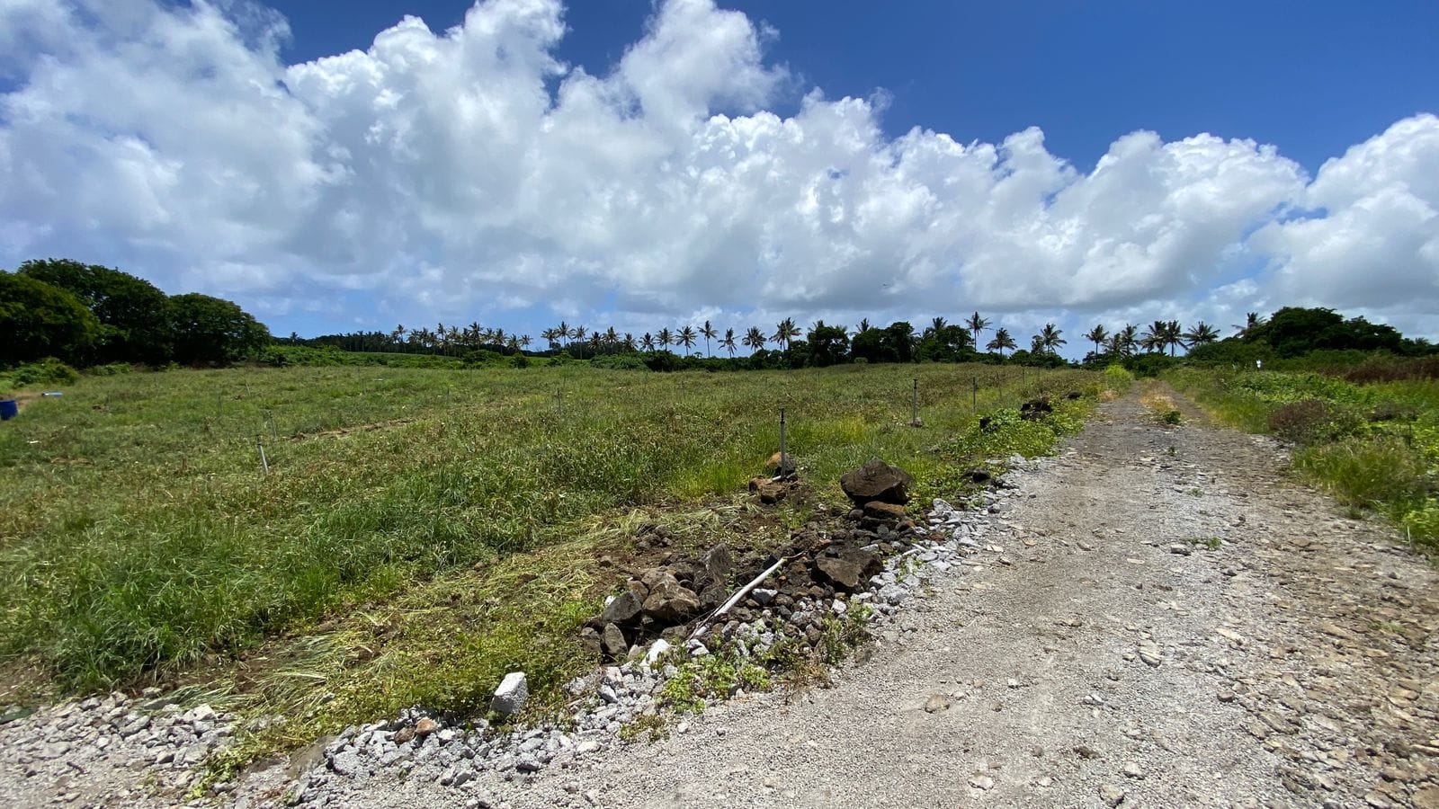 Agricultural Land for Sale in Choisy, Poste de Flacq – 1,687 m²