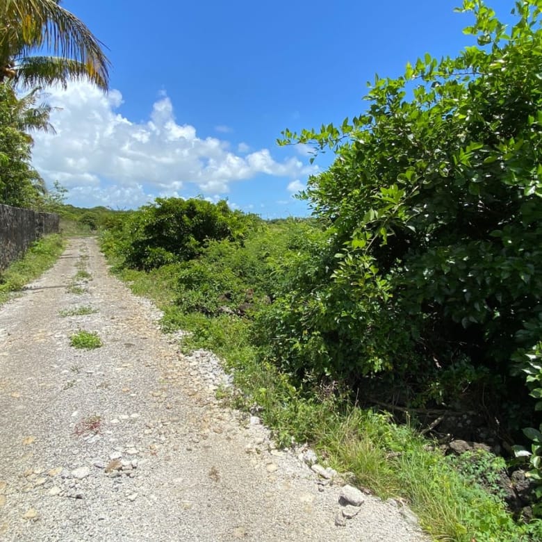 Agricultural Land for Sale in Choisy, Poste de Flacq – 1,687 m²
