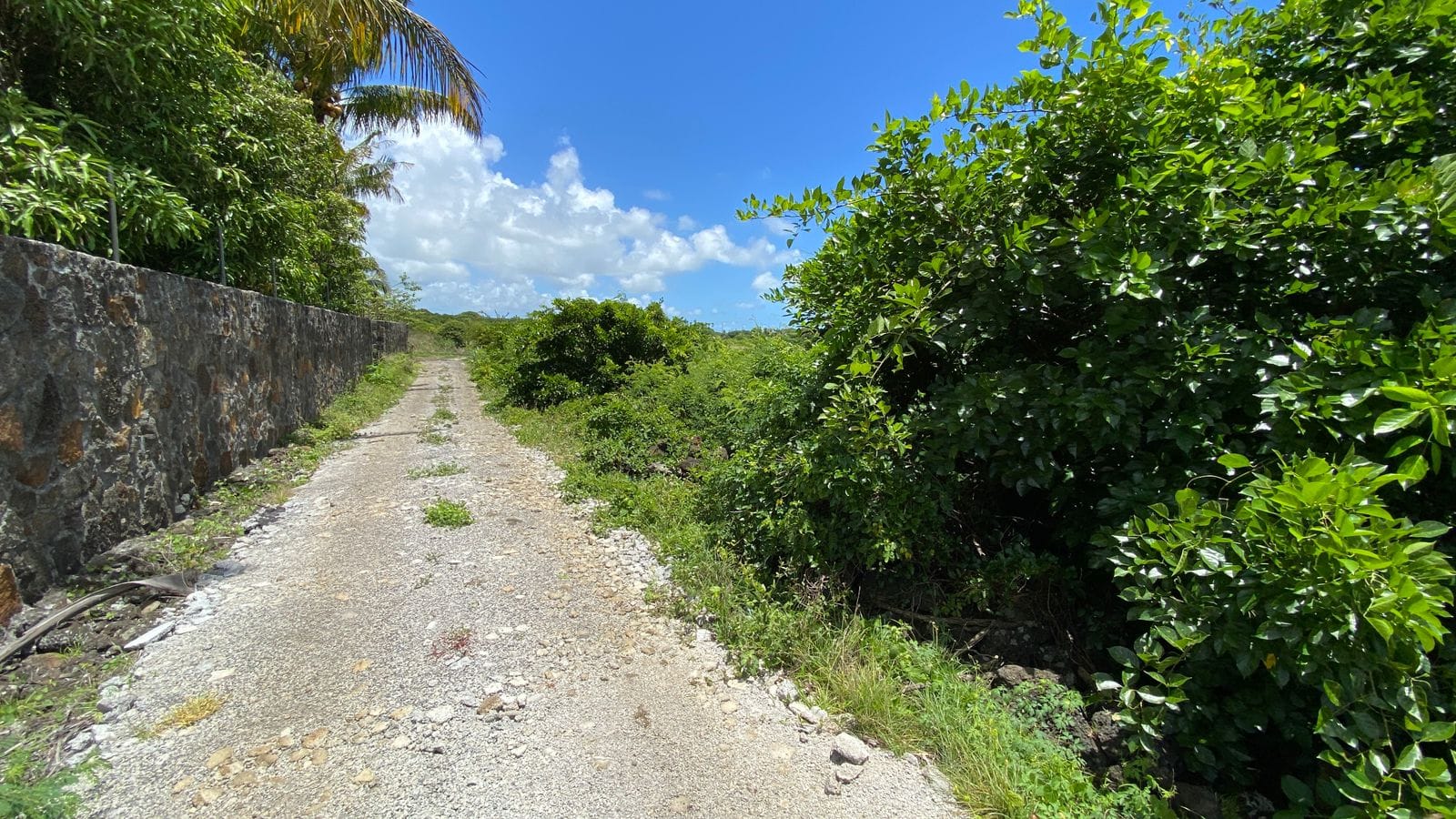 Agricultural Land for Sale in Choisy, Poste de Flacq – 1,687 m²