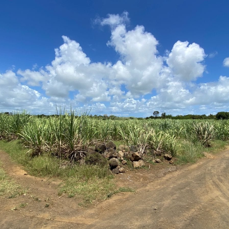 For Sale – Agricultural land 5,360.5 m2 – Riviere du Rempart
