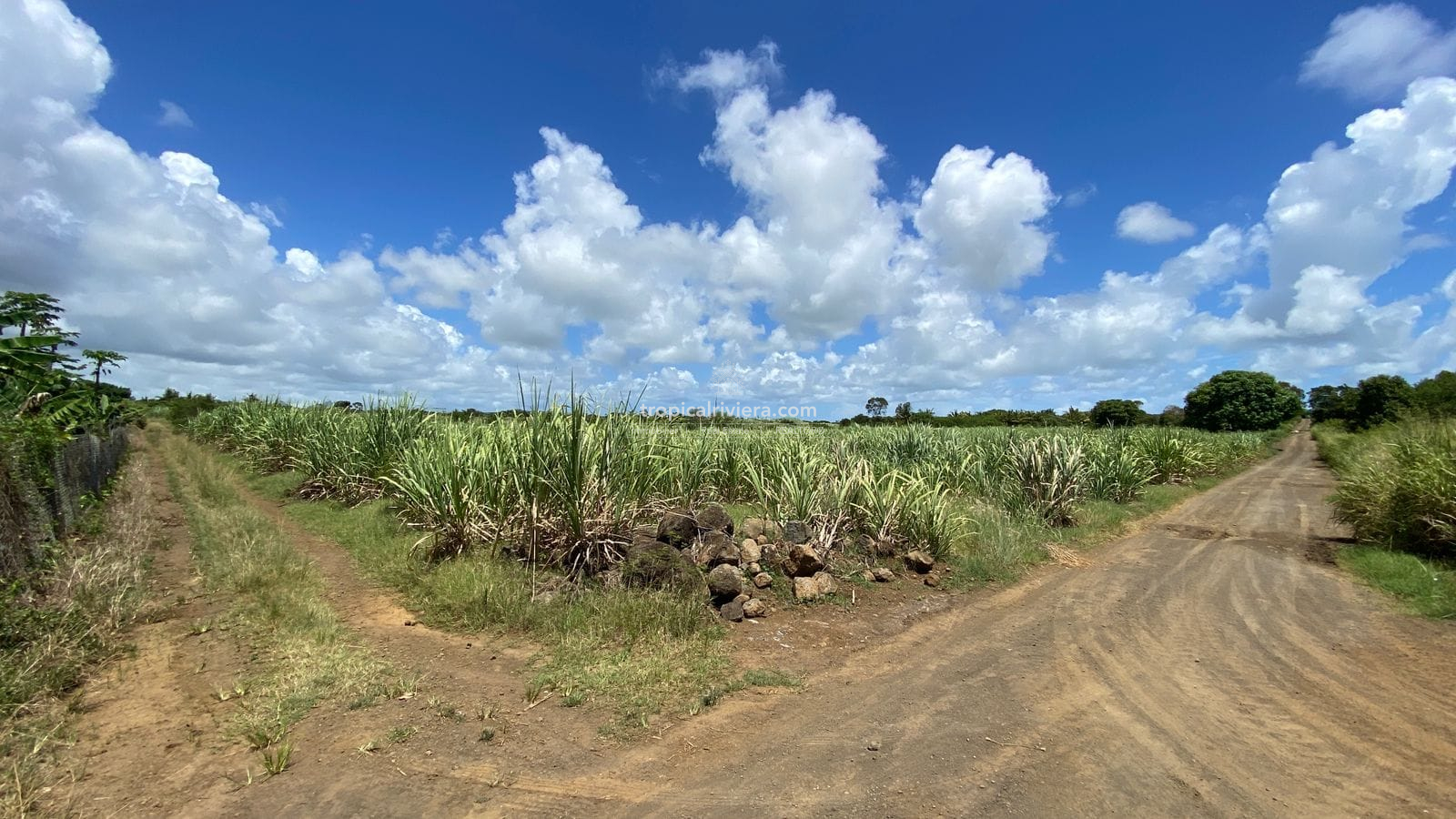 For Sale – Agricultural land 5,360.5 m2 – Riviere du Rempart