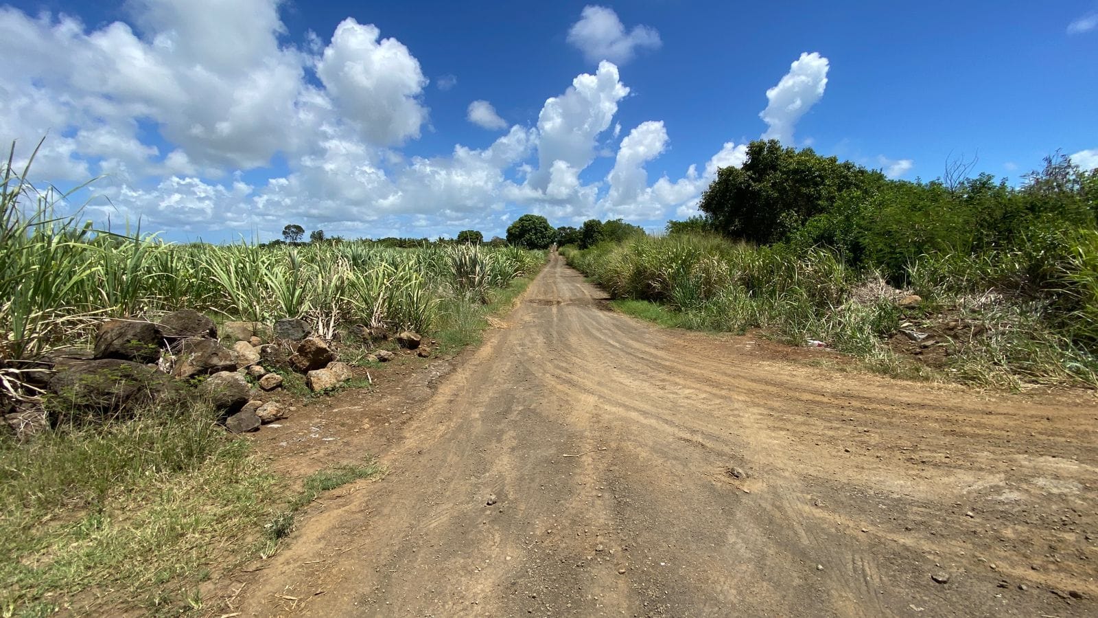 For Sale – Agricultural land 5,360.5 m2 – Riviere du Rempart