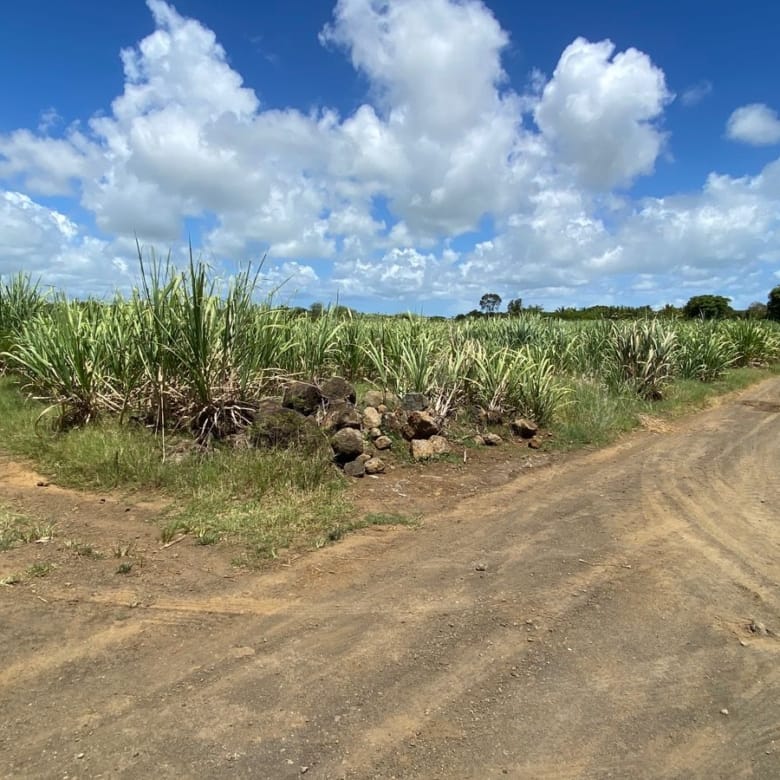 For Sale – Agricultural land 5,360.5 m2 – Riviere du Rempart