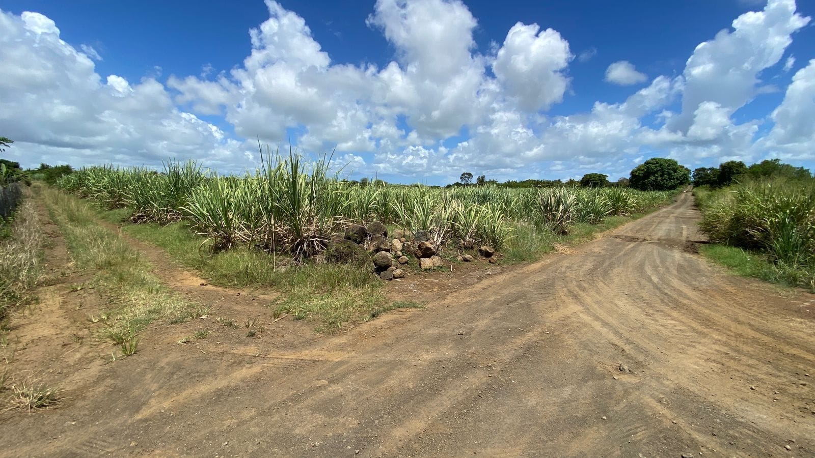 For Sale – Agricultural land 5,360.5 m2 – Riviere du Rempart