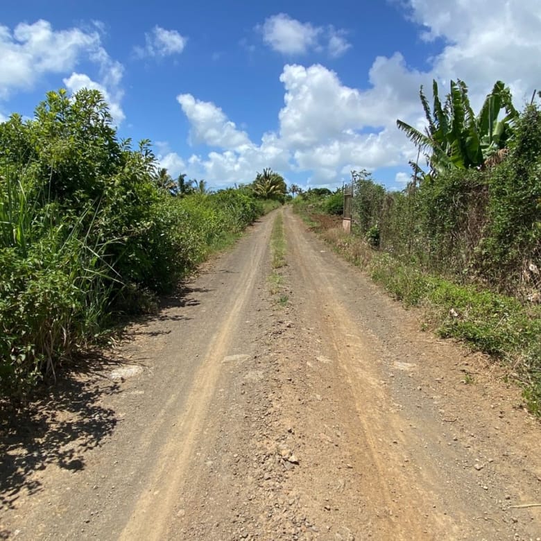 For Sale – Agricultural land 5,360.5 m2 – Riviere du Rempart