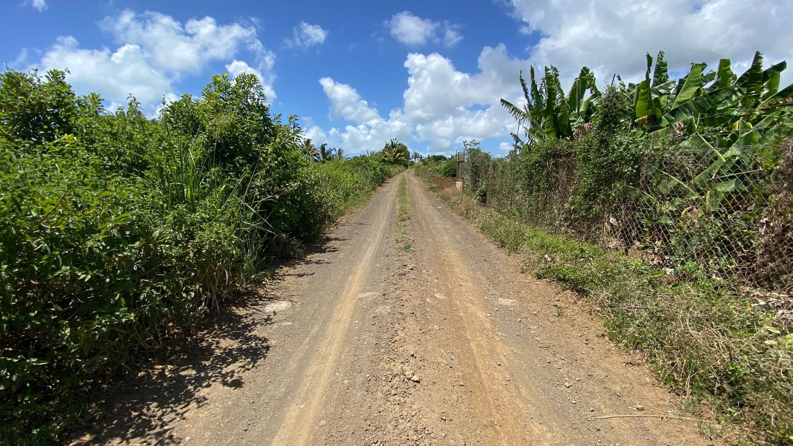 For Sale – Agricultural land 5,360.5 m2 – Riviere du Rempart