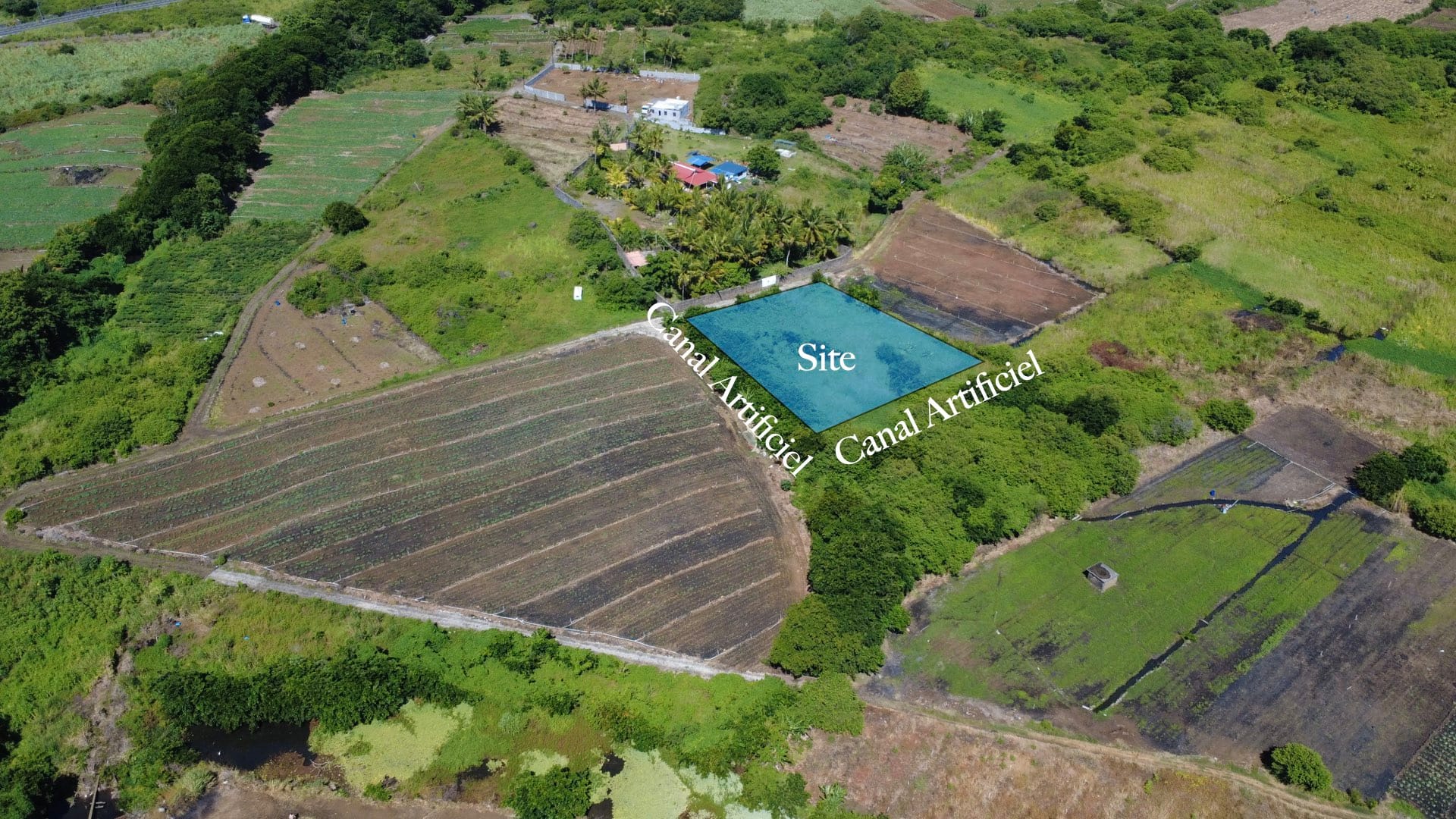 Agricultural Land for Sale in Choisy, Poste de Flacq – 1,687 m²