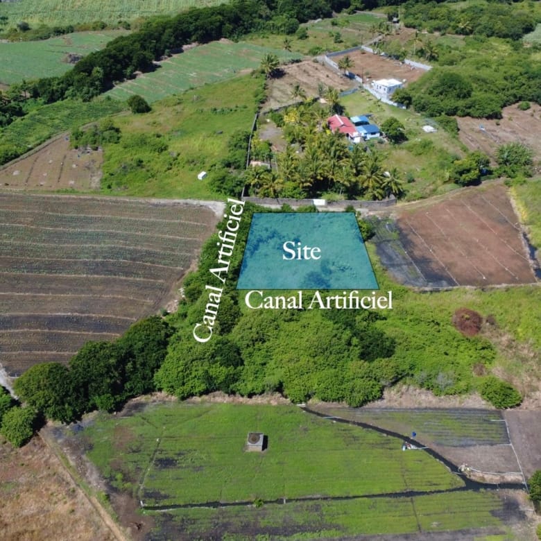 Agricultural Land for Sale in Choisy, Poste de Flacq – 1,687 m²