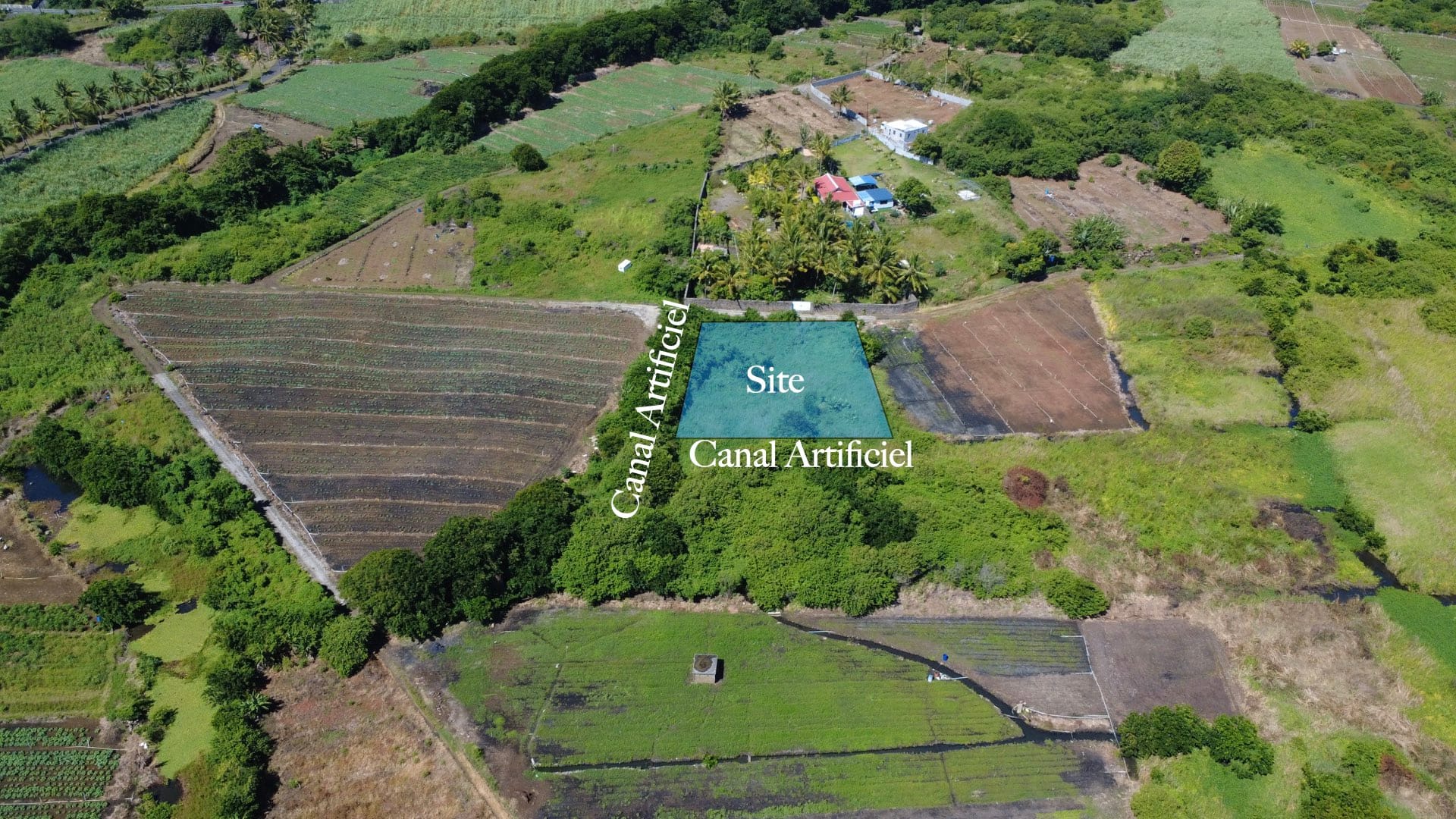 Agricultural Land for Sale in Choisy, Poste de Flacq – 1,687 m²
