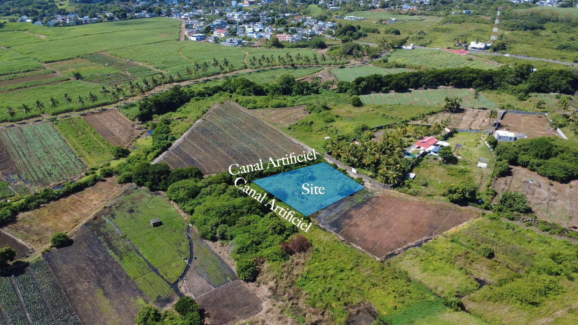 Agricultural Land for Sale in Choisy, Poste de Flacq – 1,687 m²