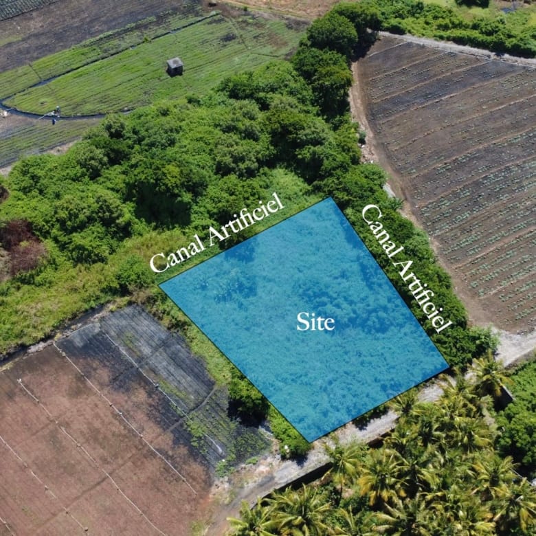 Agricultural Land for Sale in Choisy, Poste de Flacq – 1,687 m²