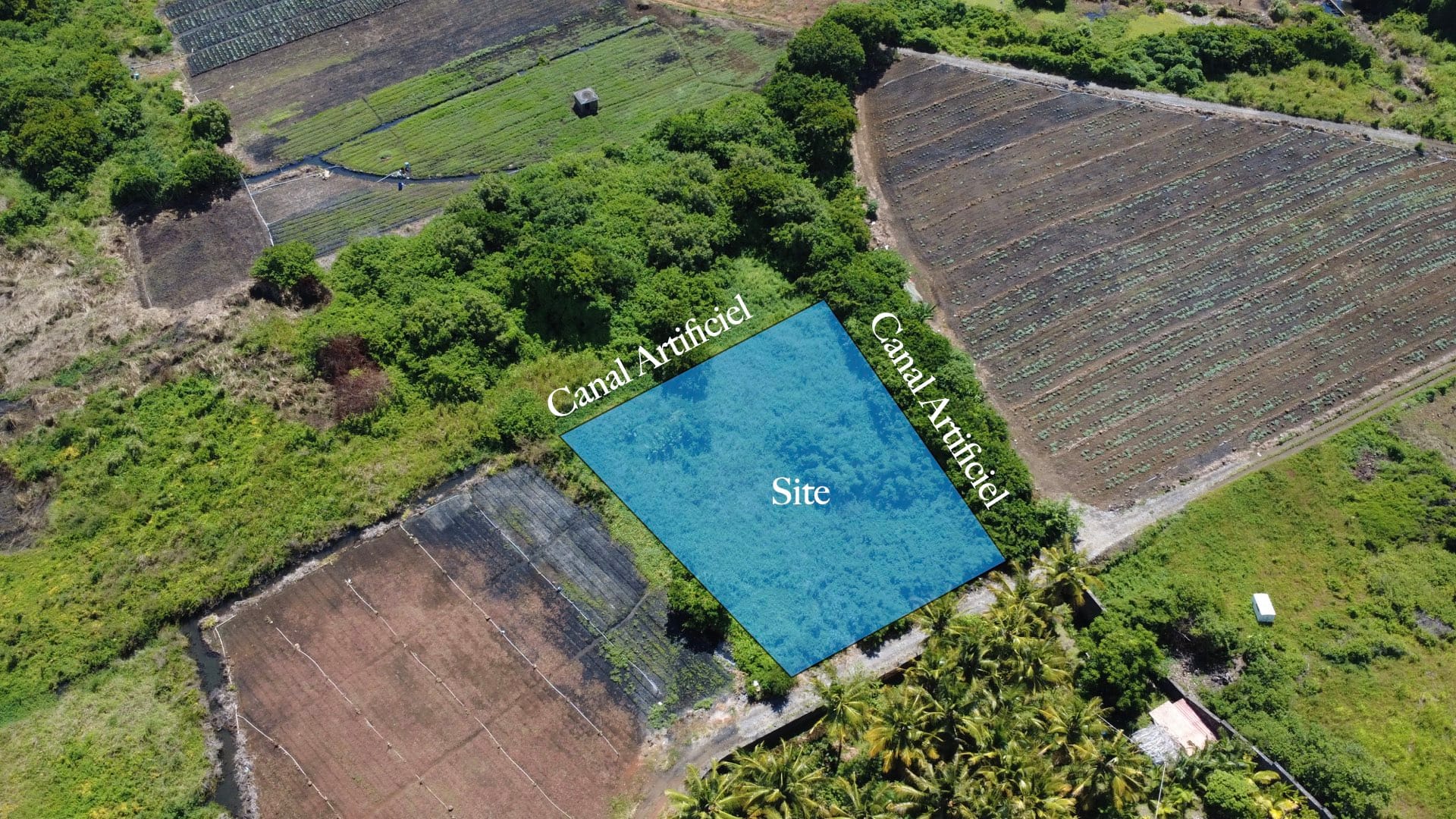 Agricultural Land for Sale in Choisy, Poste de Flacq – 1,687 m²