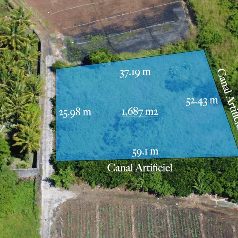 Agricultural Land for Sale in Choisy, Poste de Flacq – 1,687 m²