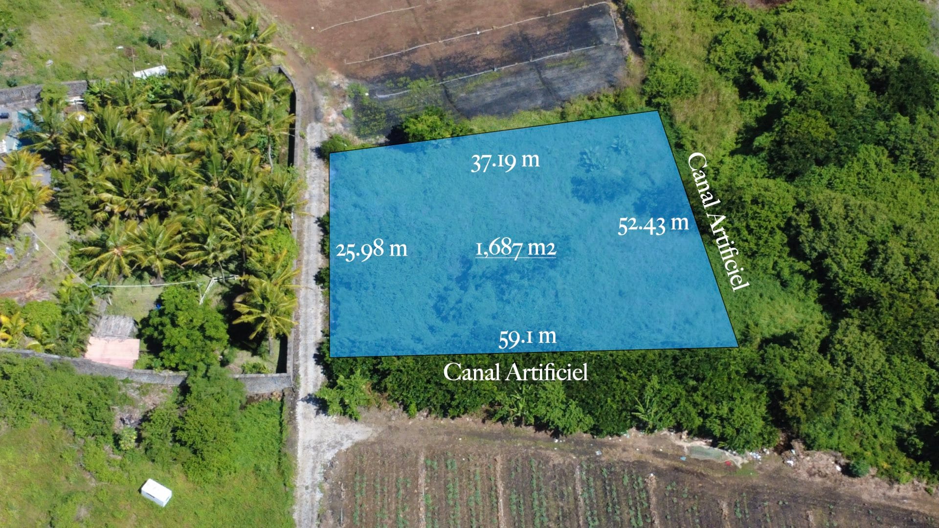Agricultural Land for Sale in Choisy, Poste de Flacq – 1,687 m²
