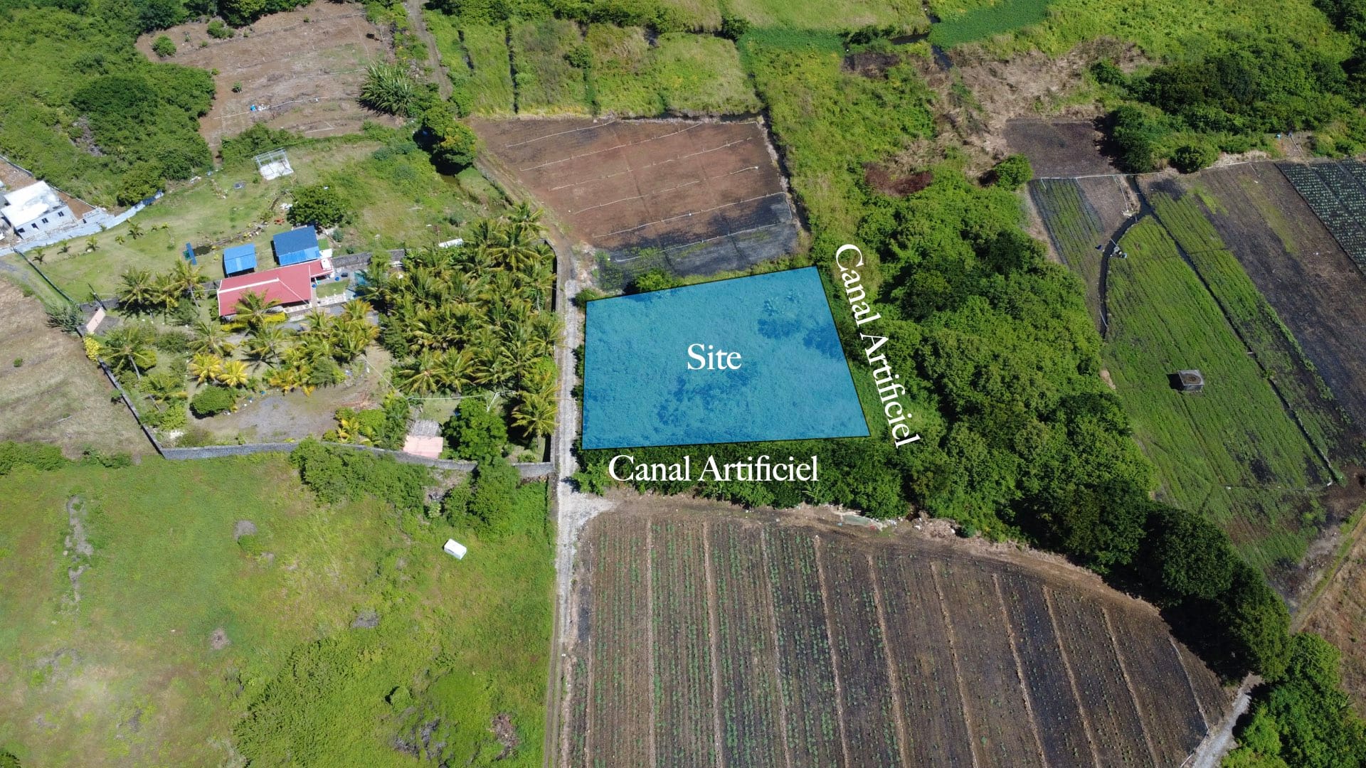 Agricultural Land for Sale in Choisy, Poste de Flacq – 1,687 m²