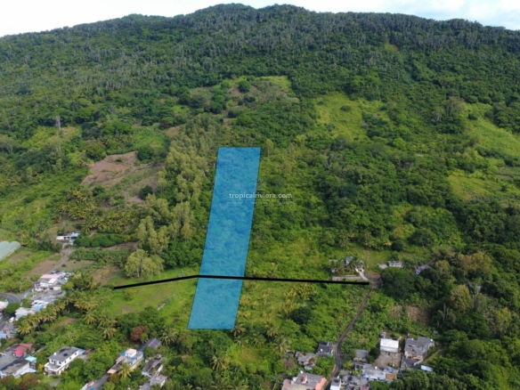 À vendre – Terrain agricole de 6 451,60 m² – Clemencia, Bel Air, Rivière-Sèche