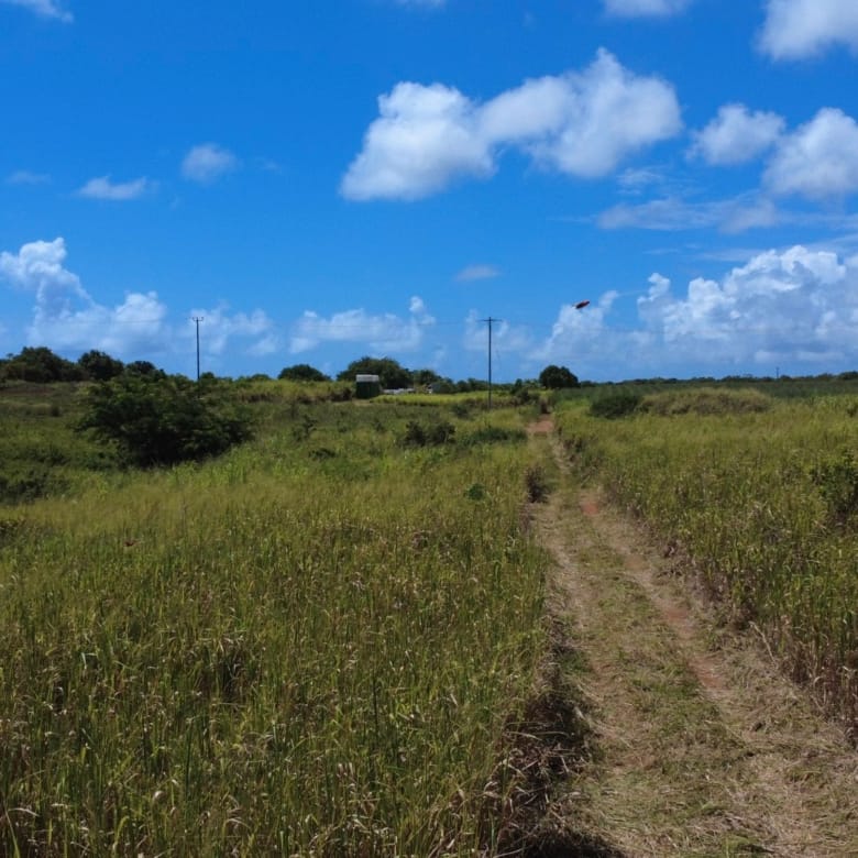 Unique Riverside Agricultural land 1911.4 m2 + Reserves – Haute Rive , Riviere Du Rempart