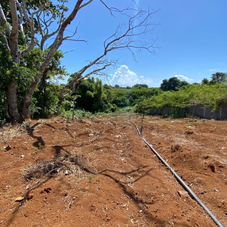 Unique Riverside Agricultural land 1911.4 m2 + Reserves – Haute Rive , Riviere Du Rempart