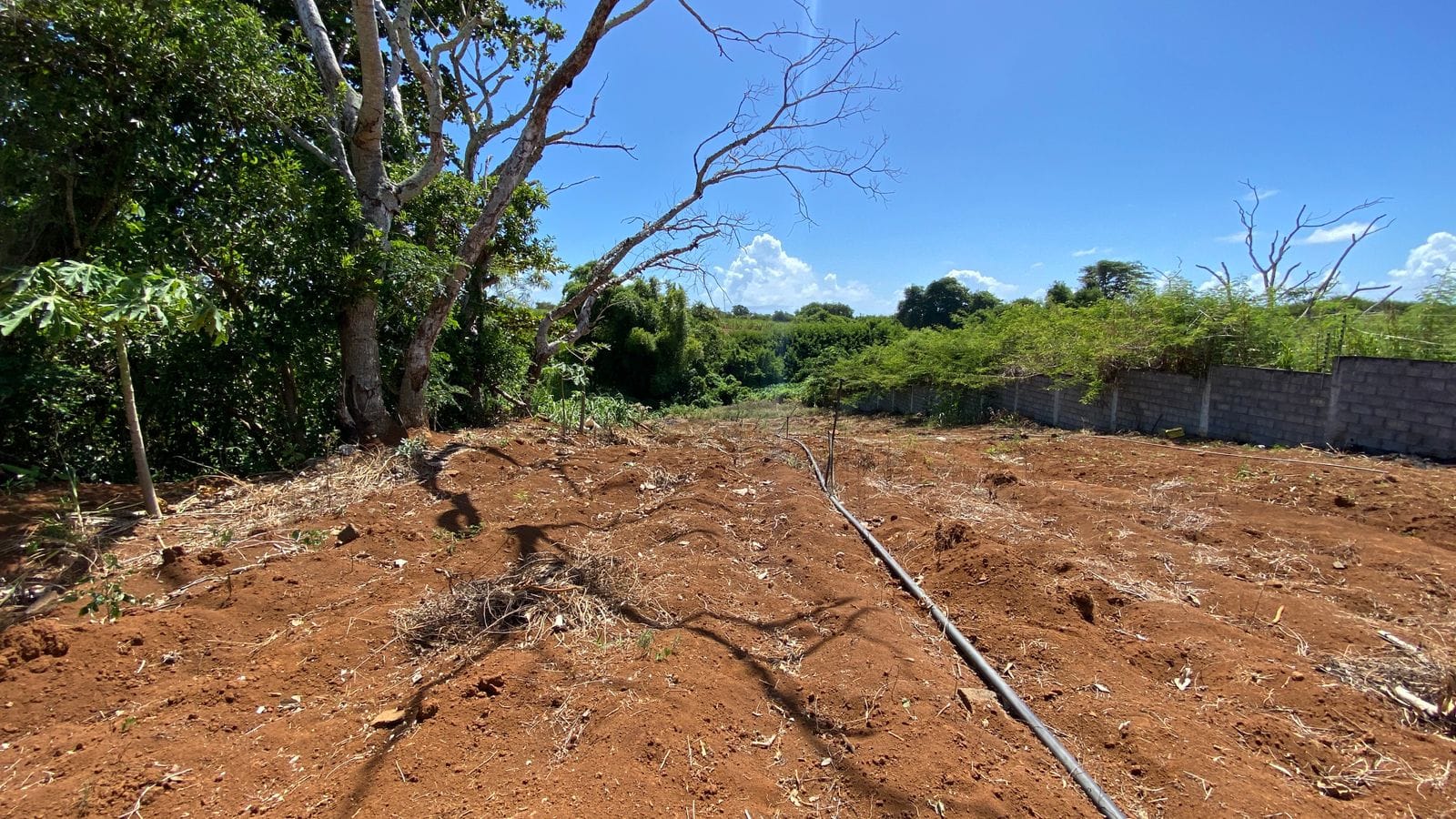 Unique Riverside Agricultural land 1911.4 m2 + Reserves – Haute Rive , Riviere Du Rempart