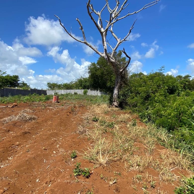 Unique Riverside Agricultural land 1911.4 m2 + Reserves – Haute Rive , Riviere Du Rempart