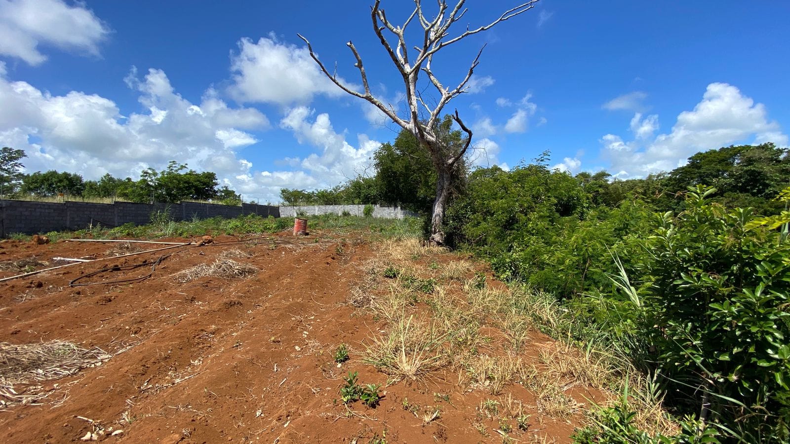 Unique Riverside Agricultural land 1911.4 m2 + Reserves – Haute Rive , Riviere Du Rempart