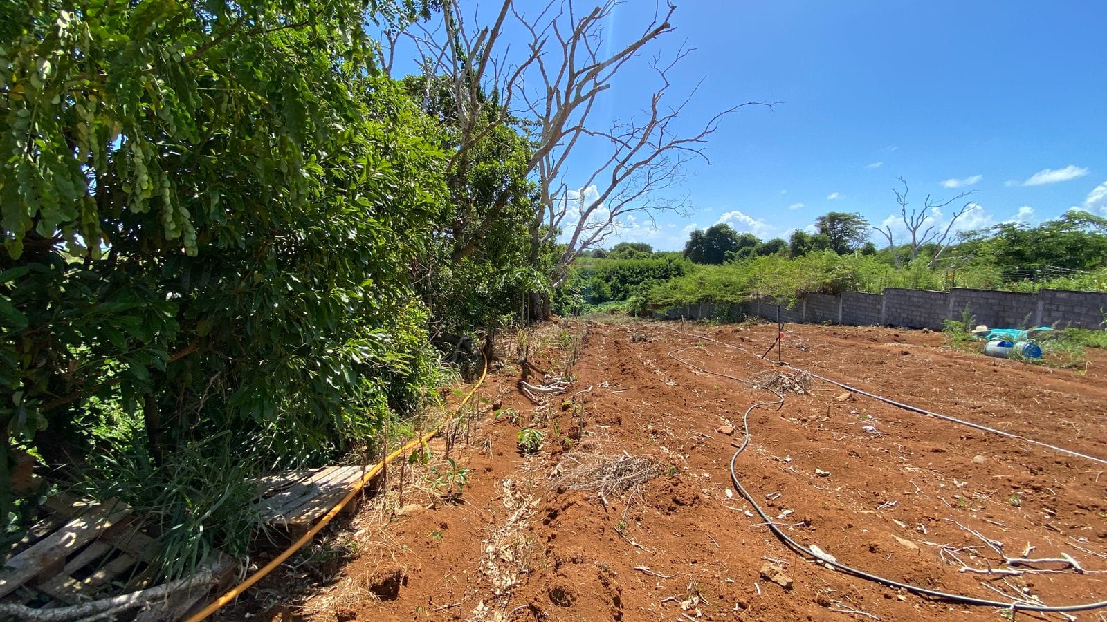Unique Riverside Agricultural land 1911.4 m2 + Reserves – Haute Rive , Riviere Du Rempart