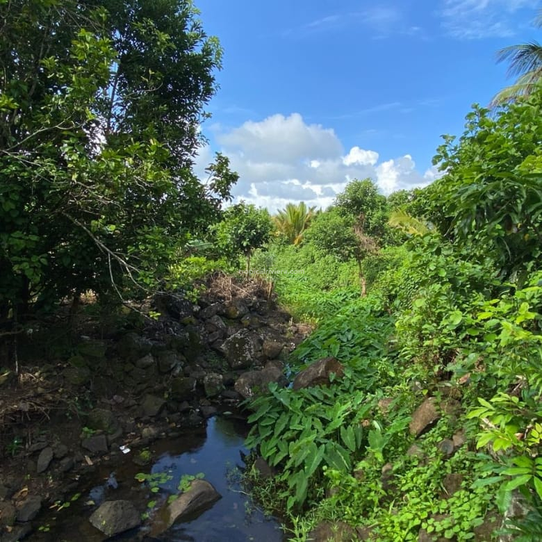For Sale – Agricultural Land 6451.60 m2 – Clemencia, Bel Air Riviere Seche