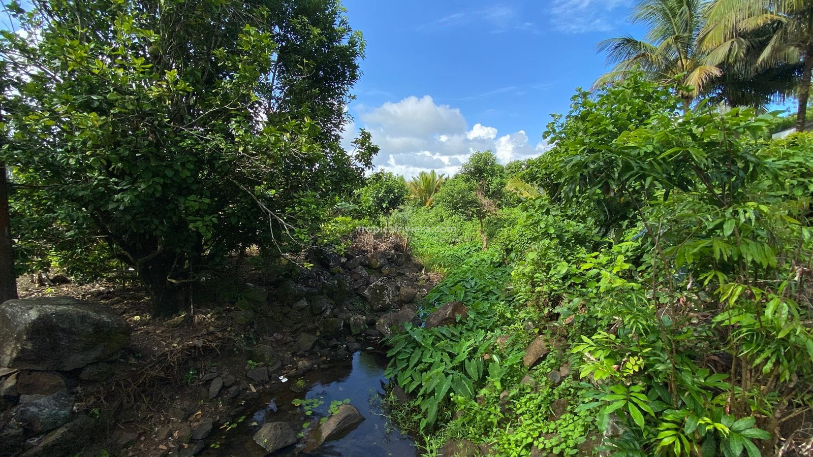 For Sale – Agricultural Land 6451.60 m2 – Clemencia, Bel Air Riviere Seche