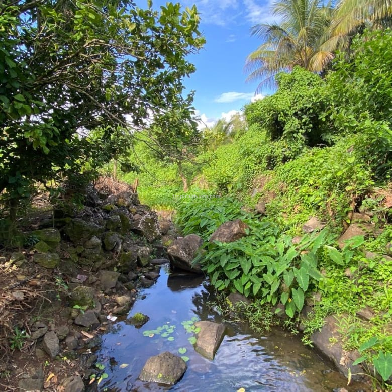 For Sale – Agricultural Land 6451.60 m2 – Clemencia, Bel Air Riviere Seche