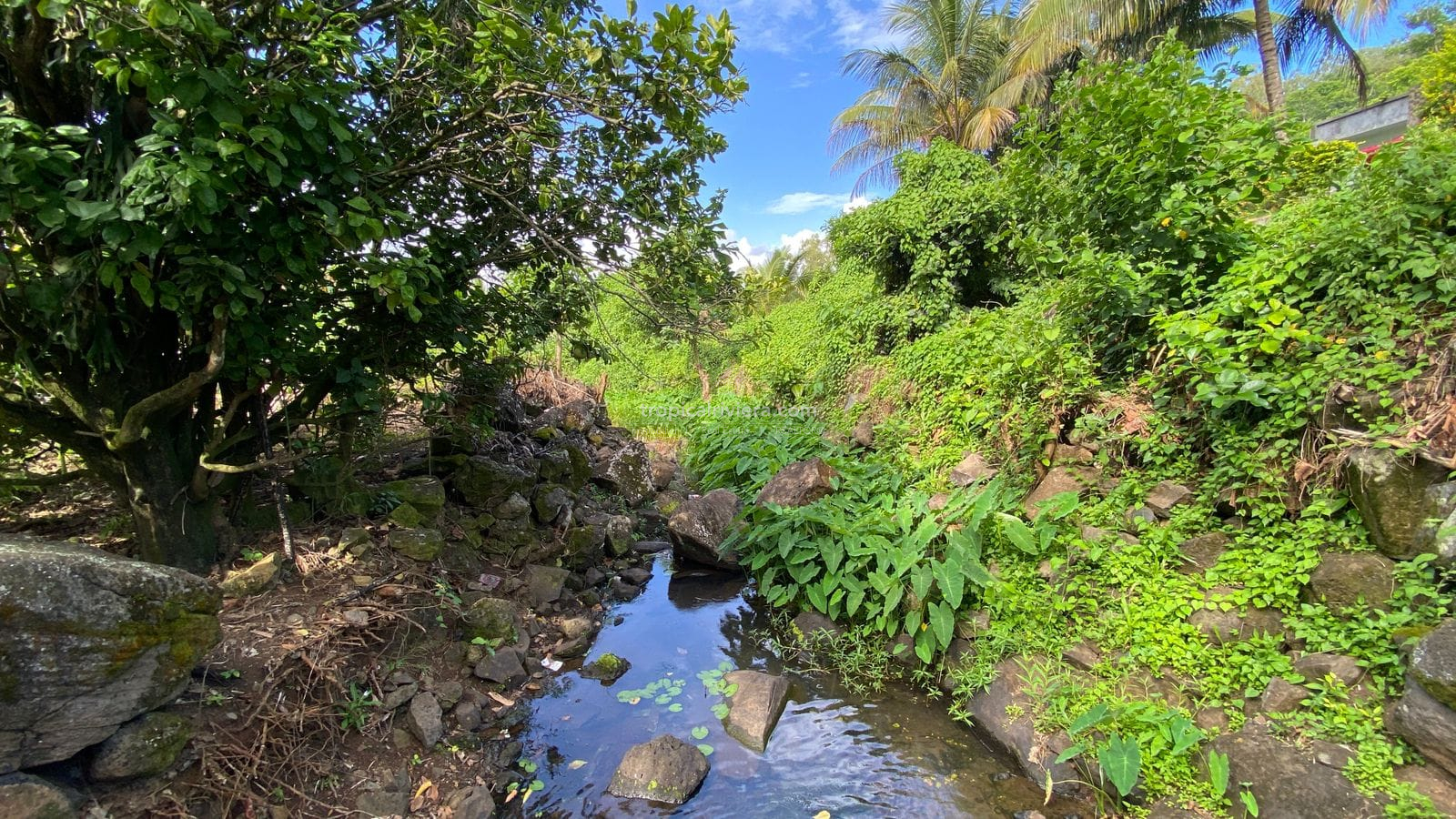 For Sale – Agricultural Land 6451.60 m2 – Clemencia, Bel Air Riviere Seche