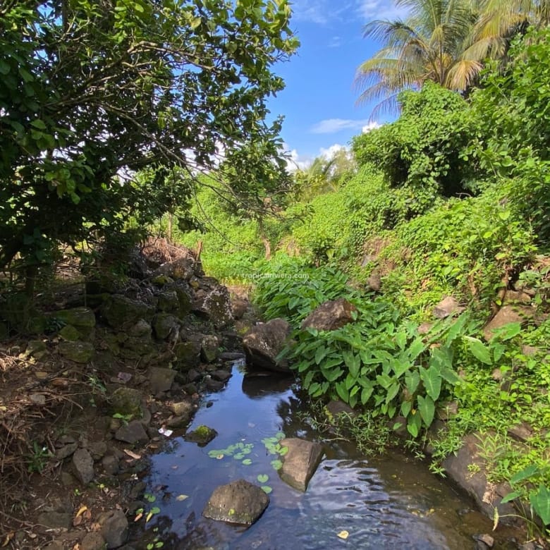 For Sale – Agricultural Land 6451.60 m2 – Clemencia, Bel Air Riviere Seche