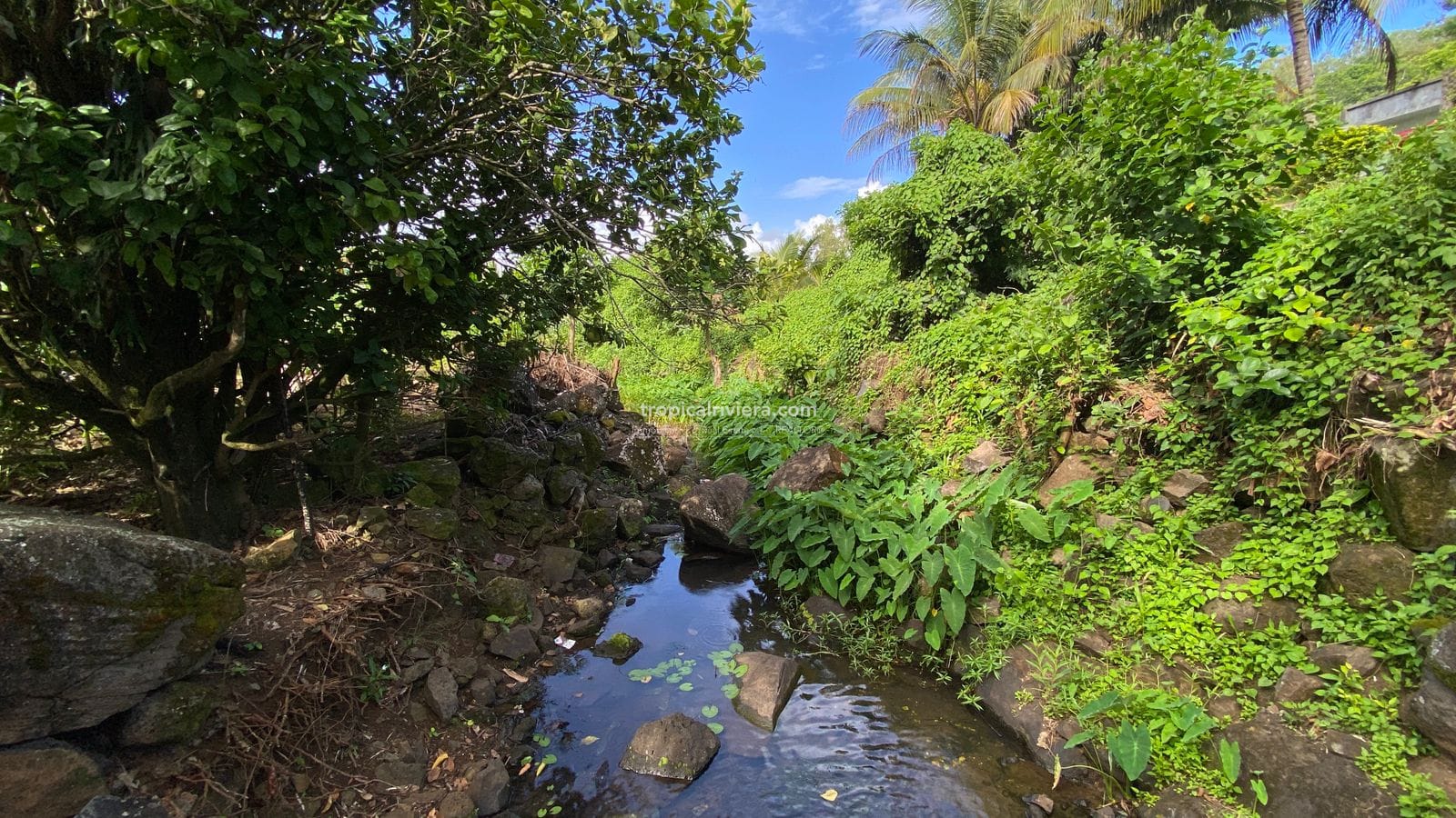 For Sale – Agricultural Land 6451.60 m2 – Clemencia, Bel Air Riviere Seche
