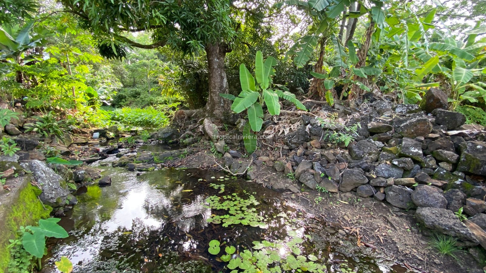 For Sale – Agricultural Land 6451.60 m2 – Clemencia, Bel Air Riviere Seche