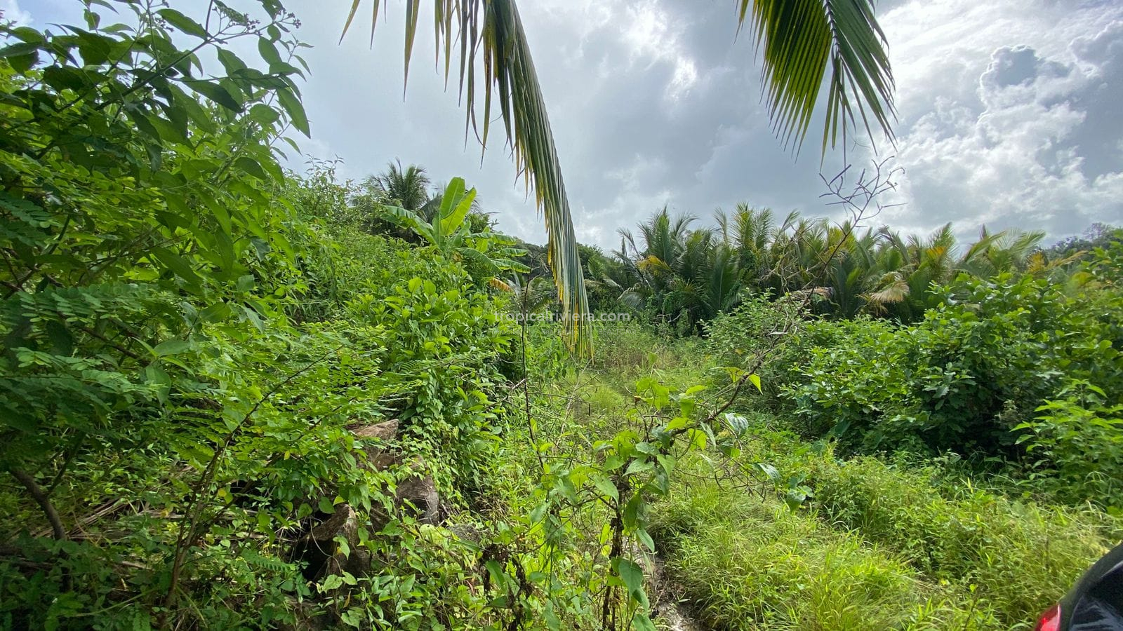 For Sale – Agricultural Land 6451.60 m2 – Clemencia, Bel Air Riviere Seche