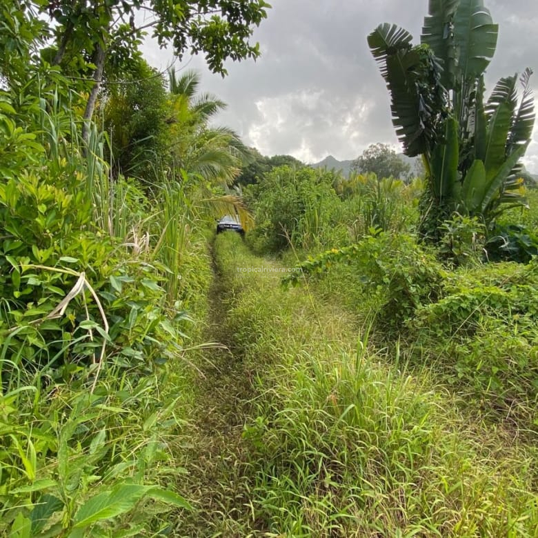 For Sale – Agricultural Land 6451.60 m2 – Clemencia, Bel Air Riviere Seche