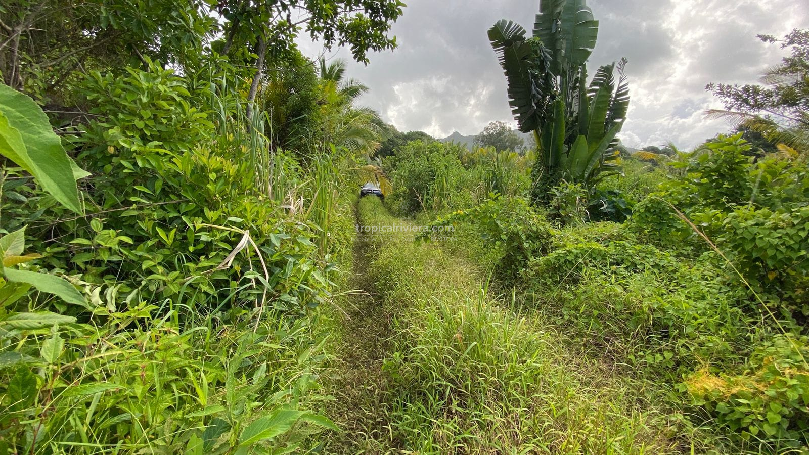 For Sale – Agricultural Land 6451.60 m2 – Clemencia, Bel Air Riviere Seche