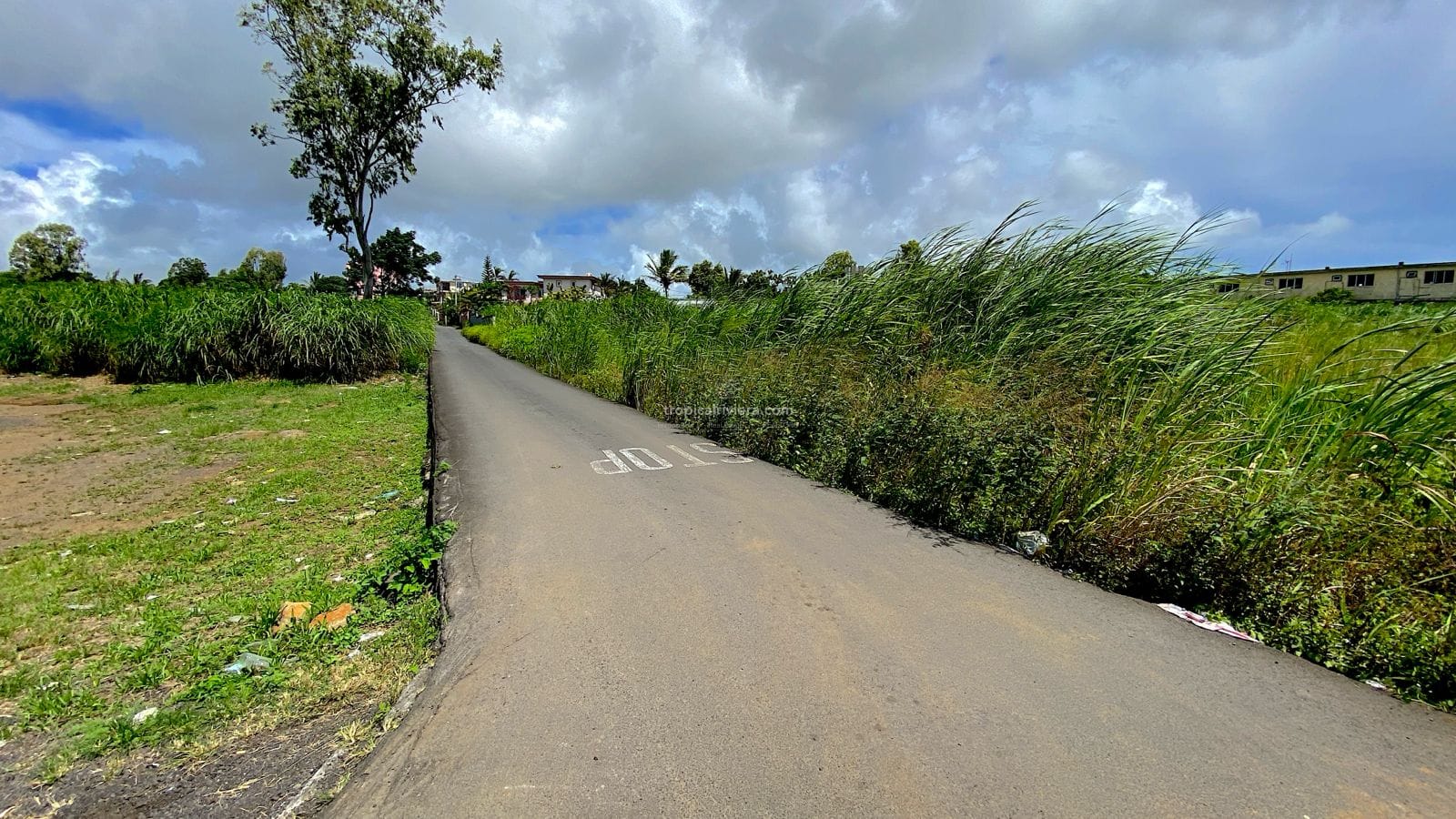 Residential Land for Sale in Vacoas – 1,492 m² Plot on Abattoir Road